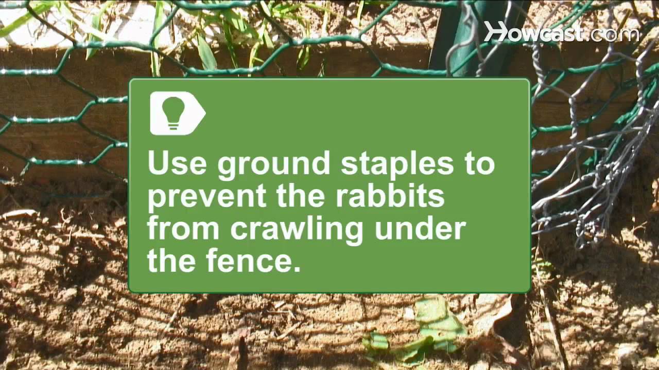 How to Install a Rabbit-Proof Fence