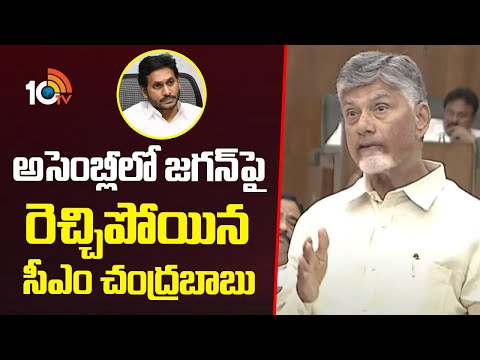 అసెంబ్లీలో జగన్‎పై రెచ్చిపోయిన సీఎం చంద్రబాబు  | CM Chandrababu Fire On YS Jagan | 10TV - 10TVNEWSTELUGU