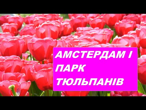 Амстердам, Нідерланди