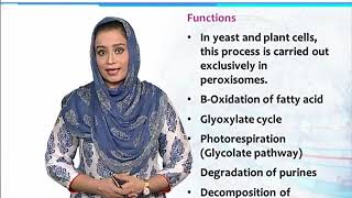 BT101_Topic123