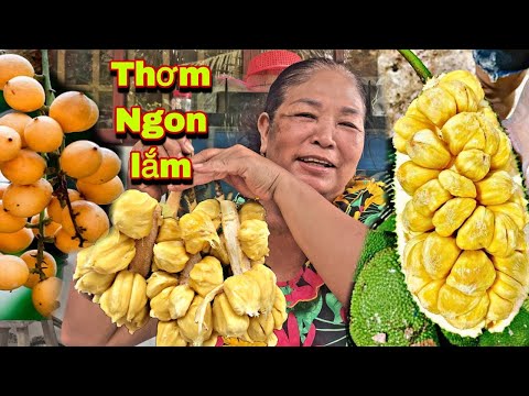 Video Cô Tư Và Chồng Ăn 3 Trái Mít Tố Nữ Và Hai Kí Dâu Xiêm... - youtube