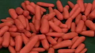Абразивная чистка моркови (бэби-кэррот) Sormac CRR-25/250