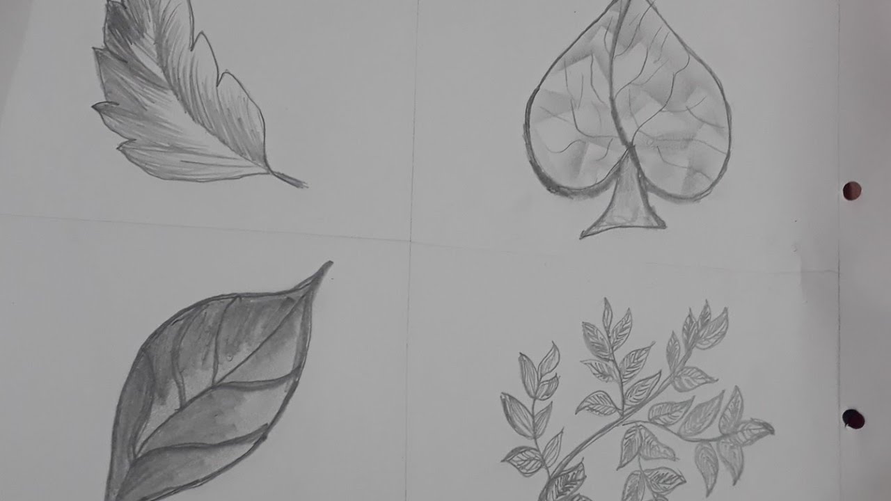 Beautiful And Easiest Way To Draw A Leaf Youtube 