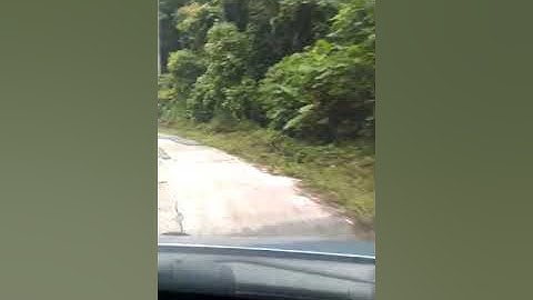 Jalan trans Sulawesi dari Palu ke Toli Toli - Buol via jalur  Gunung Tinombala