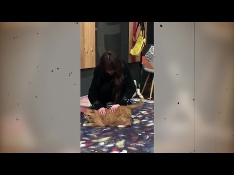 러블리즈 케이 (김지연) 인스타그램 190113 [Lovelyz,Kei (Kim Jiyeon)]