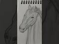 My latest pencil sketch: Majestic Horse 🐎 #shorts #vastravillasoul #art #artshorts #trending #viral