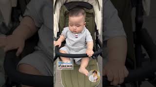 Mắc Ngủ Quá Mà Cứ Bắt Đi Chơi