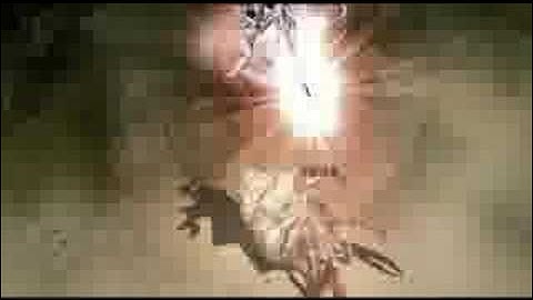 Cabal Online demo video part 4