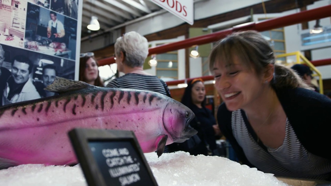 Vallea Lumina Illuminated Salmon at Granville Island Market YouTube