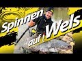 Welsangeln mit der Spinnrute in Deutschland | Auf Waller mit Blinker und Gummifisch