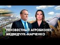 Агробизнес Медведчука и Марченко: санкции, компании, суды | Latifundist