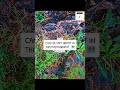 NATURE MEME 🗺️ • #mothernature #naturenews #naturephotos #memesvideo #memes #ispy #groot #games #i9