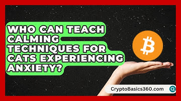 Who Can Teach Calming Techniques for Cats Experiencing Anxiety? | Happy Cat Handbook