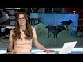 CyLTV Noticias 20:00 horas (30/04/2024)