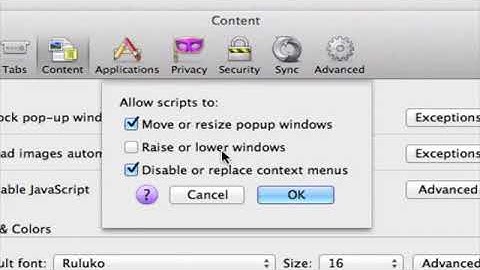 How to Enable Javascript in Firefox