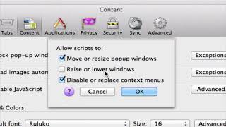 How to Enable Javascript in Firefox
