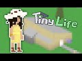 WE FINALLY HAVE A HOUSE | Tiny Life: Rags to Tiny Riches - Part 3
