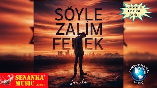 Zalim Felek  (Turkish Song 2024) | Harika Şarkı #keşfet #lovesongs #türkçemüzik #music