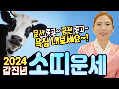 문서도 좋고~ 금전도 좋고~ 욕심내세요~! 새로운 기회가 들어오는 2024갑진년 소띠운세!