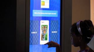LCI - Interactive Video for Museum Displays