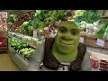 Shrek's Day Out Mp3 Song