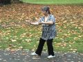 Yang family tai chi long form third section