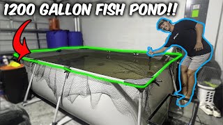 SETTING UP a 1200 GALLON PREDATOR FISH POND in my garage!!!