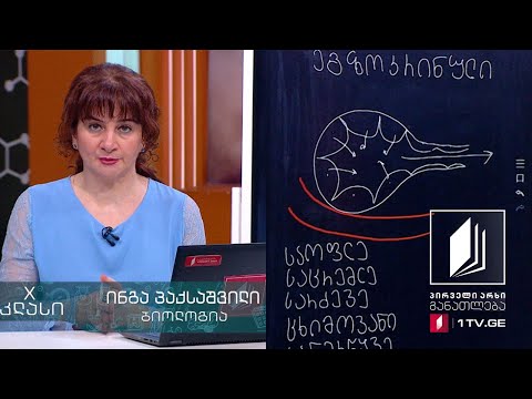 ბიოლოგია, X კლასი - ცენტრალური ენდოკრინული სისტემა - ჰიპოთალამუსი, ჰიპოფიზი, ეპიფიზი,  #ტელესკოლა