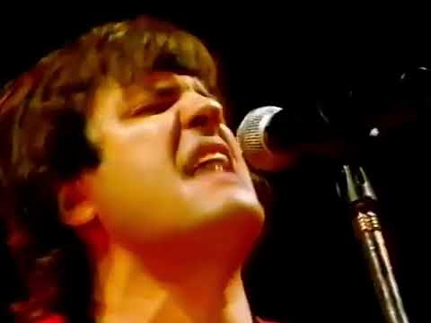 Te diría - Los Piojos (La Plata 2004)