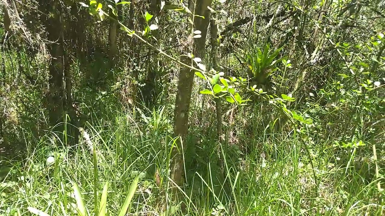 CAMINATAS Y AVENTURAS AL EXTREMO LES DESEO UN FELIZ DIA A TODOS Y. SUSCRIBETE