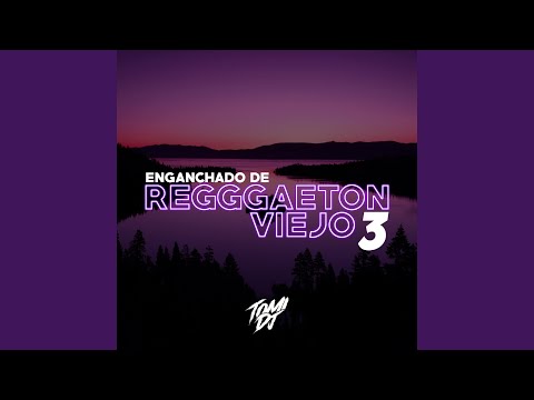 Enganchado De Reggaeton Viejo 3 (Remix)