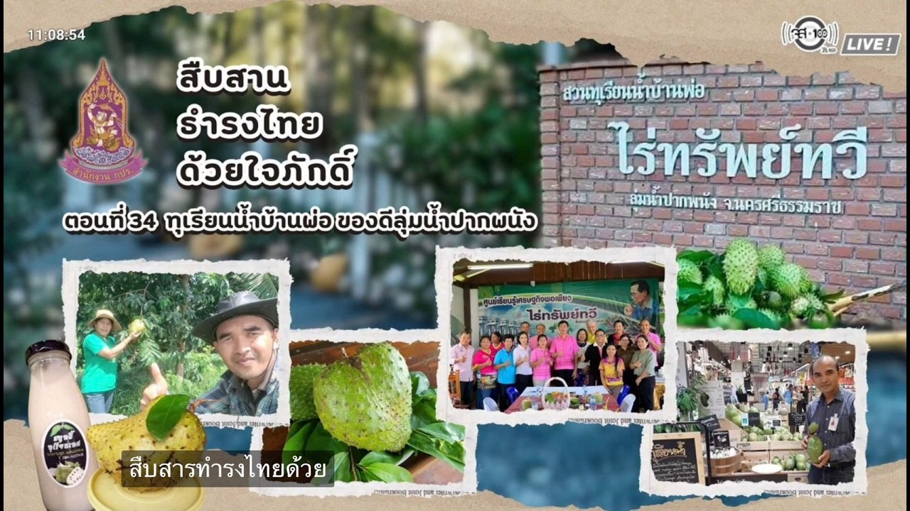 สืบสานธำรงไทย ด้วยใจภักดิ์ : ทุเรียนน้ำบ้านพ่อ ของดีลุ่มน้ำปากพนัง