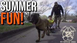 Summer FUN! | Skateboarding by Second Chance K9 Service Dogs 148 views 3 years ago 5 minutes, 15 seconds