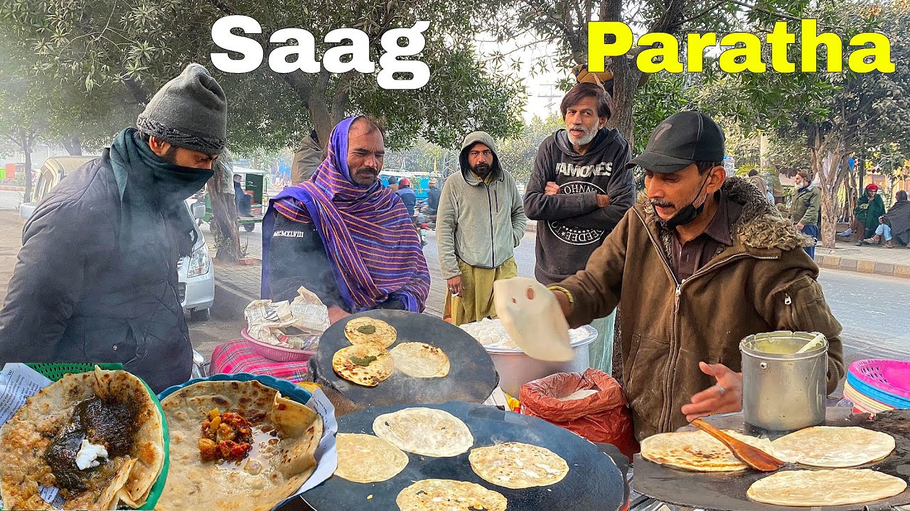 100/- Rs CHEAPEST PUNJABI VEG NON-VEG STREET FOOD AT ROADSIDE | TRADITIONAL PUNJABI STREET FOOD