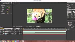 Famous After Effects CS6 Tutorial   45   Blending Modes Part 2 Wealth