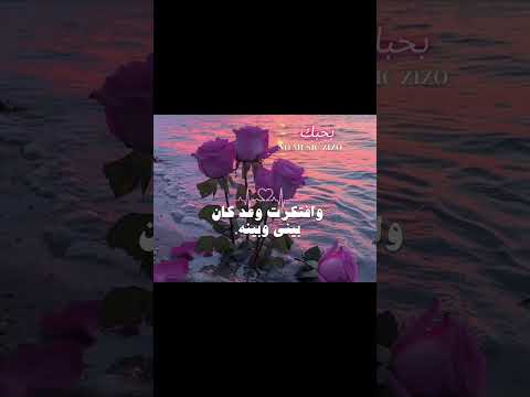 وافتكرت وعد كان بيني وبينه زمان خدناه تصميمي سهيلة حالات واتس