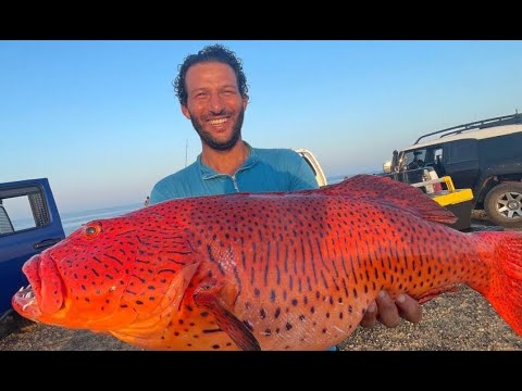 ناجل حر حجم طيب على STS jig - YouTube