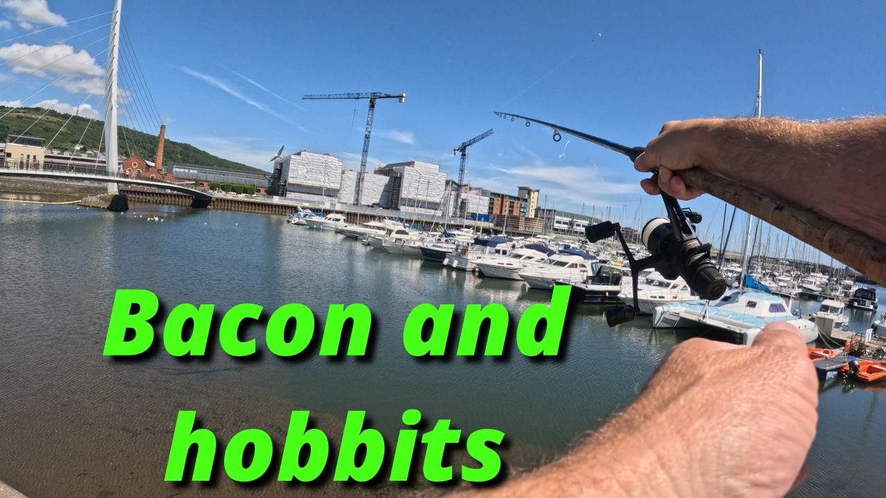 Swansea marina  bass/mullet fishing