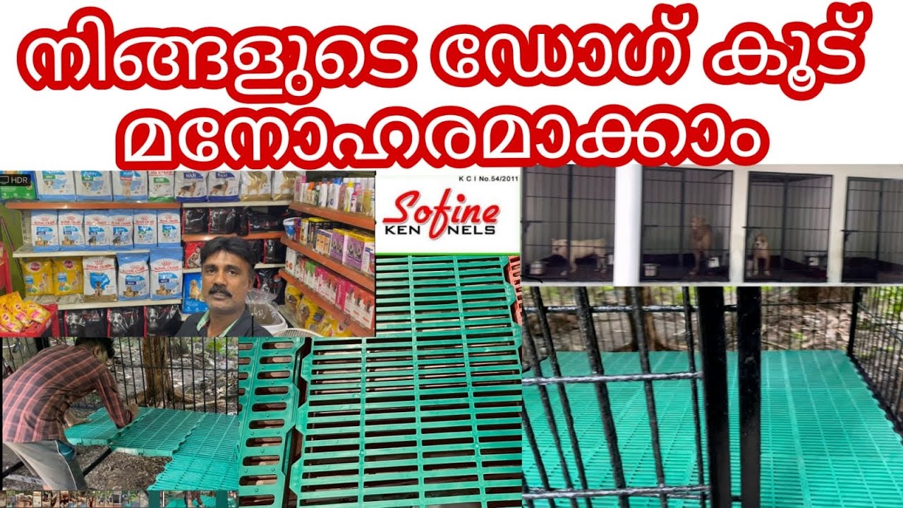Beautiful dog cage   നിങ്ങളുടെ ഡോഗ് കൂട് മനോഹരമാക്കാം