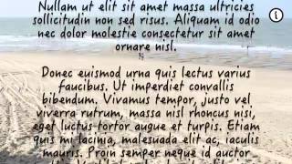 Lorem Ipsum Video