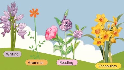 An introduction to Developmental Language Disorder (DLD) for Speech-Language Pathologists