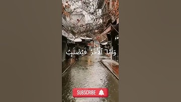 سورة يوسف اية 41