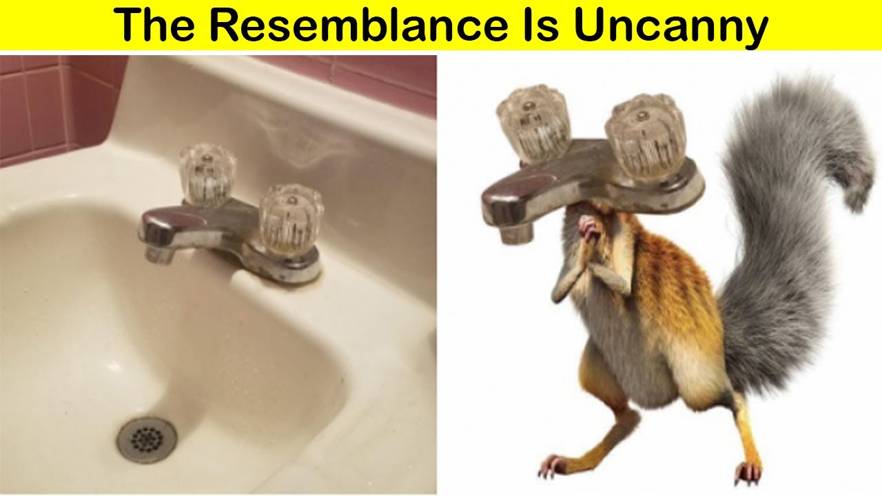 confusing photos you need to look twice