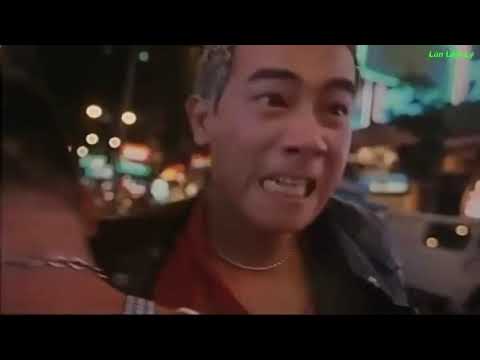 Video Trần Hạo Nam Gà Rừng Một Thời Bá Chủ - Người Trong... - youtube