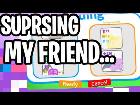 SUPRSING MY FRIEND WITH SOMETHING SPECIAL (PET SIMULATOR ROBLOX) - YouTube