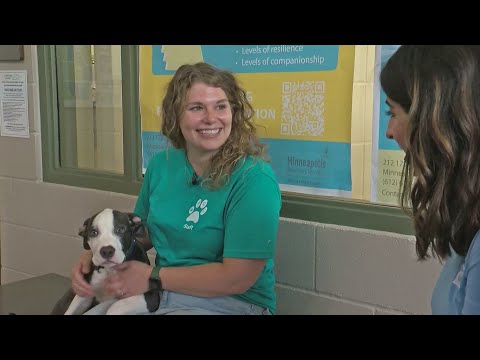 All pets adopted at Minneapolis Animal Care & Control's free adoption event