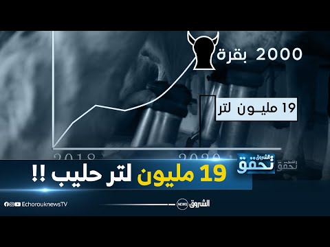 الشروق تحقق هكذا استطاعت غرداية أن تتحول لمملكة إنتاج الحليب عبر الجنوب الجزائري