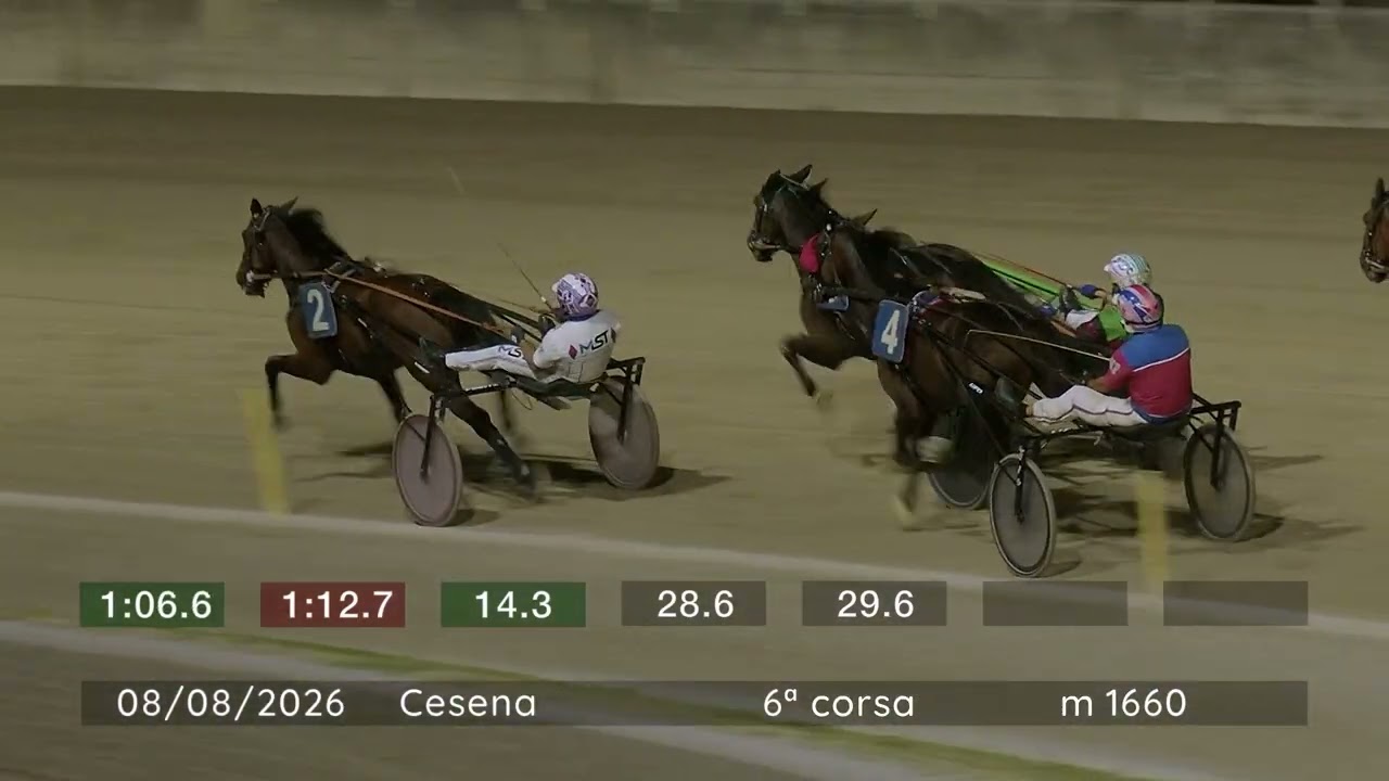 2026 08 08 | Corsa 6 | Metri 1660 | Premio Gran Premio Augusto Calzolari - Tr. Panathlon Club Cesena