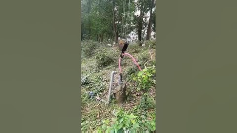 Bảo dưỡng sục rửa giếng khoan bằng khí nén