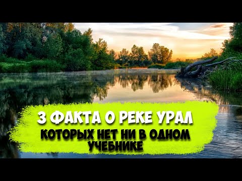 Видео: Река Илек (приток на Урал): къде се намира, описание и характеристики